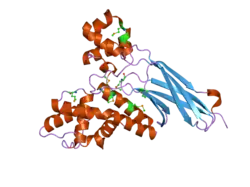 2q0z: Crystal structure of Q9P172/Sec63 from Homo sapiens. Northeast Structural Genomics Target HR1979.