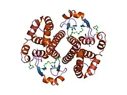 4gss: HUMAN GLUTATHIONE S-TRANSFERASE P1-1 Y108F MUTANT