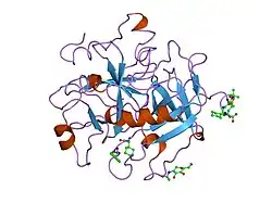 4thn: THE CRYSTAL STRUCTURE OF ALPHA-THROMBIN-HIRUNORM IV COMPLEX REVEALS A NOVEL SPECIFICITY SITE RECOGNITION MODE.