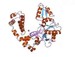 7ich: DNA POLYMERASE BETA (E.C.2.7.7.7)/DNA COMPLEX, SOAKED IN THE PRESENCE OF COCL2