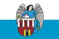 Flag of Toruń