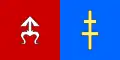 Flag of Skarżyski County