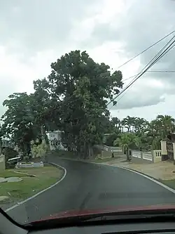 PR-617 in Morovis Sud (Sur), northbound
