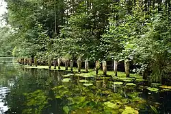 View of the Gosen Canal