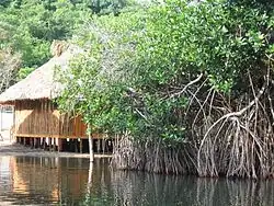 Stilt house on Chacahua lagoon