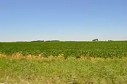 Fields west of Beaverville