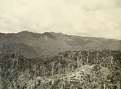 Aerial photograph of a battle scarred ridge amidst a jungle scene