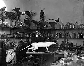 Specimen collection ca. 1900