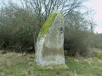 A menhir in Craménil