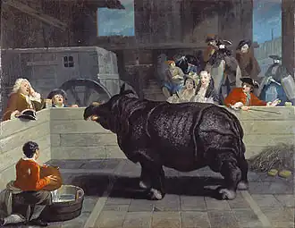 Rhinoceros in Venice circle of Pietro Longhi (1751)