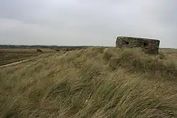 Winterton-Horsey Dunes