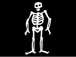 Interpretation of a flag used by various pirates such as John Cole,[41] George Lowther,[42] Richard Worley,[43] and James Skyrme.[25]