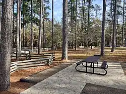 Photograph of a park with a park bench in the foreground, with wooden split-rail fences and a number of evergreen trees