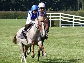 Pony racing, 2019