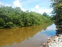 Tatuamunha River