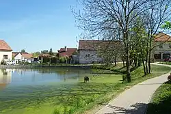 Pond in Prague-Zličín