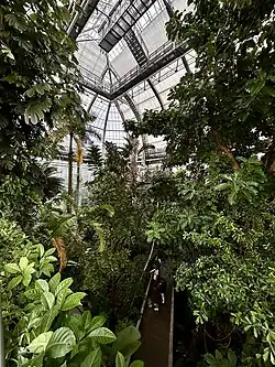 Inside primary greenhouse, showing tropical walkway.