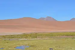 A green wetland in the foreground with sandy dry peaks in the background on a blue sky