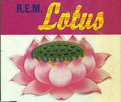 A painting of a pink lotus flower