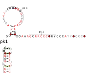 RAGATH-5 Secondary structure taken from the Rfam database. Family RF02685
