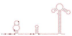RAGATH-6 Secondary structure taken from the Rfam database. Family RF02686