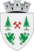 Coat of arms of Broșteni