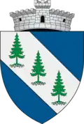 Coat of arms of Dorna-Arini