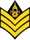 Sergeant