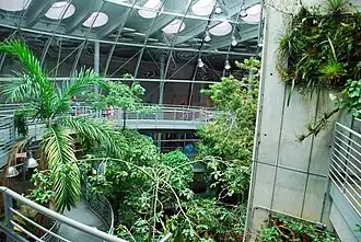 Interior of Rainforests of the World