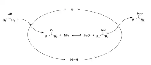 Figure of a reaction scheme of Ni-catalyzed reductive amination: First, the nickel metal dehydrogenates the alcohol to form a ketone and Ni-H complex. Then, the ketone reacts with ammonia to form an imine. Finally, the imine reacts with Ni-H to regenerate catalyst and form primary amine.