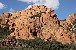 Red cliffs of Esterel