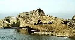 A reed house in the marshes of Basra Province, southern Iraq in 1978. The shkinta is based on such reed structures.