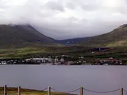 The town of Reyðarfjörður