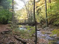 A hiking trail crosses a creek on a horizontal wooden footbridge with handrails. Below the bridge the creek drops out of sight and there is an opening in the trees behind the bridge. It is autumn and leaves of yellow, orange and some green are visible on the trees, rocks and trail.