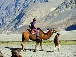 Riding in Nubra Valley, India
