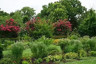 A view of one of the garden areas.