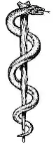 Image 25Rod of Asclepius, in which the snake, through ecdysis, symbolizes healing (from Snake)