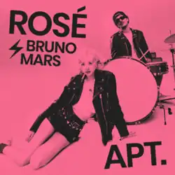 Rosé sits leaning back on the floor, while Bruno Mars sits on chair playing drums behind her. Both wear leather jackets. Their names and the title "APT." are written on the artwork.