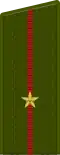 Junior Lieutenant
