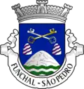 Coat of arms of São Pedro