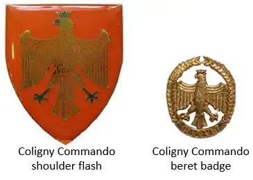 SADF era Coligny Commando insignia