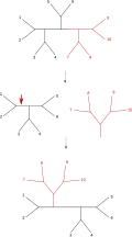 Subtree pruning and regrafting (SPR)