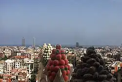 View of the neighborhood from the Sagrada Familia towards the sea