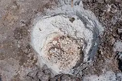 A hole dug in the Digging Area