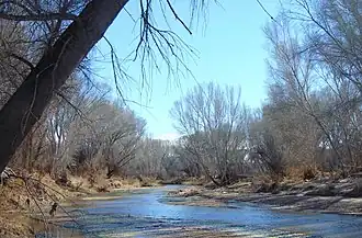 San Pedro River