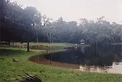 Flooding of Sanlando Springs after Hurricane Frances in 2004