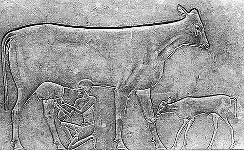 Sarcophagus of queen Kawit showing a tear falling from a cow's eye