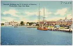 Postcard of U.S. Bureau of Fisheries buildings at Woods Hole, from sometime between  1930 and  1945.