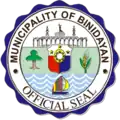 Official seal of Binidayan