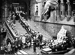 Captain Selous Memorial is in the wall just to the left of the elephant tusks. (The elephant is no longer displayed).